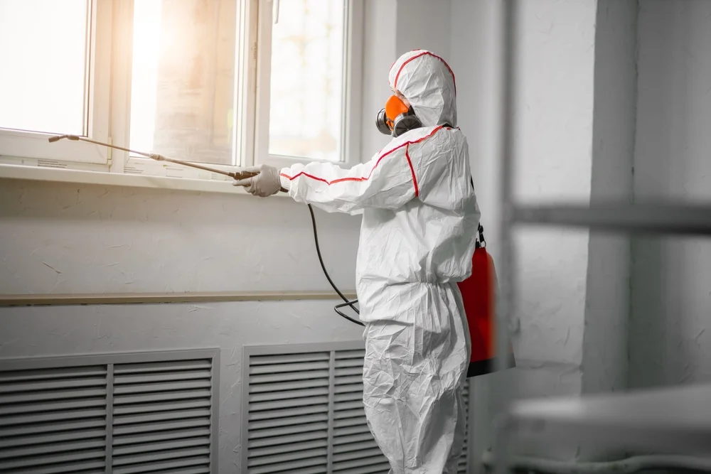 Professional mold remediation services in Cedar Grove, WI